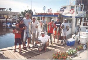 Dolphin and tripletails